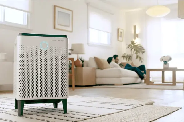 air-purifier-can-remove-mold