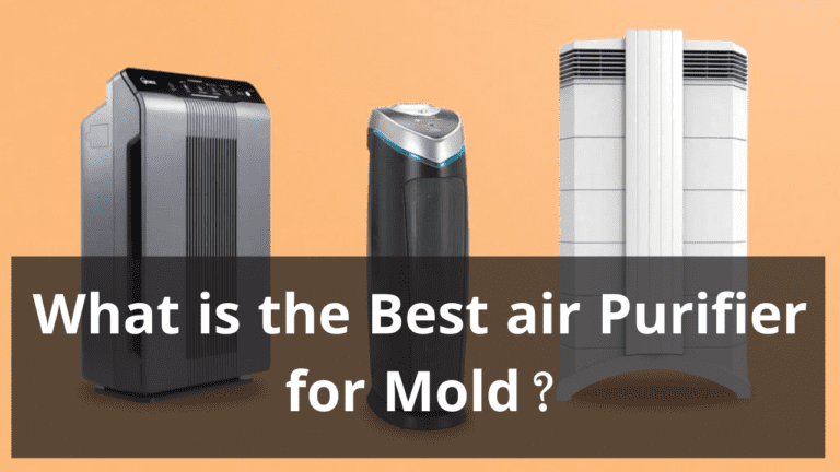 what is the best air purifier for mold