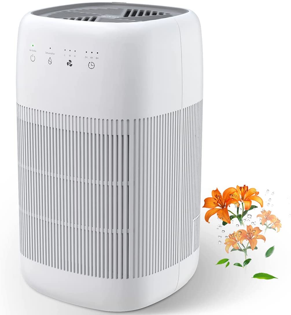Best Air Purifier Humidifier Combo Includes