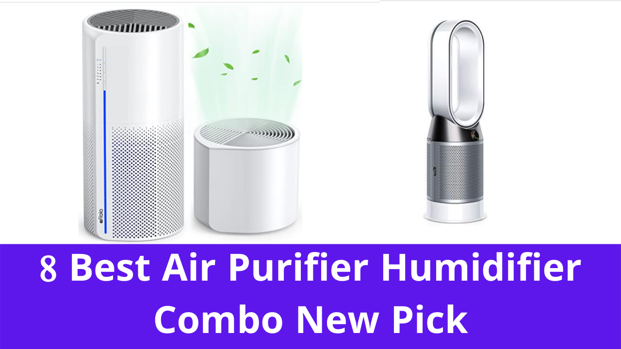 Best Air Purifier Humidifier Combo