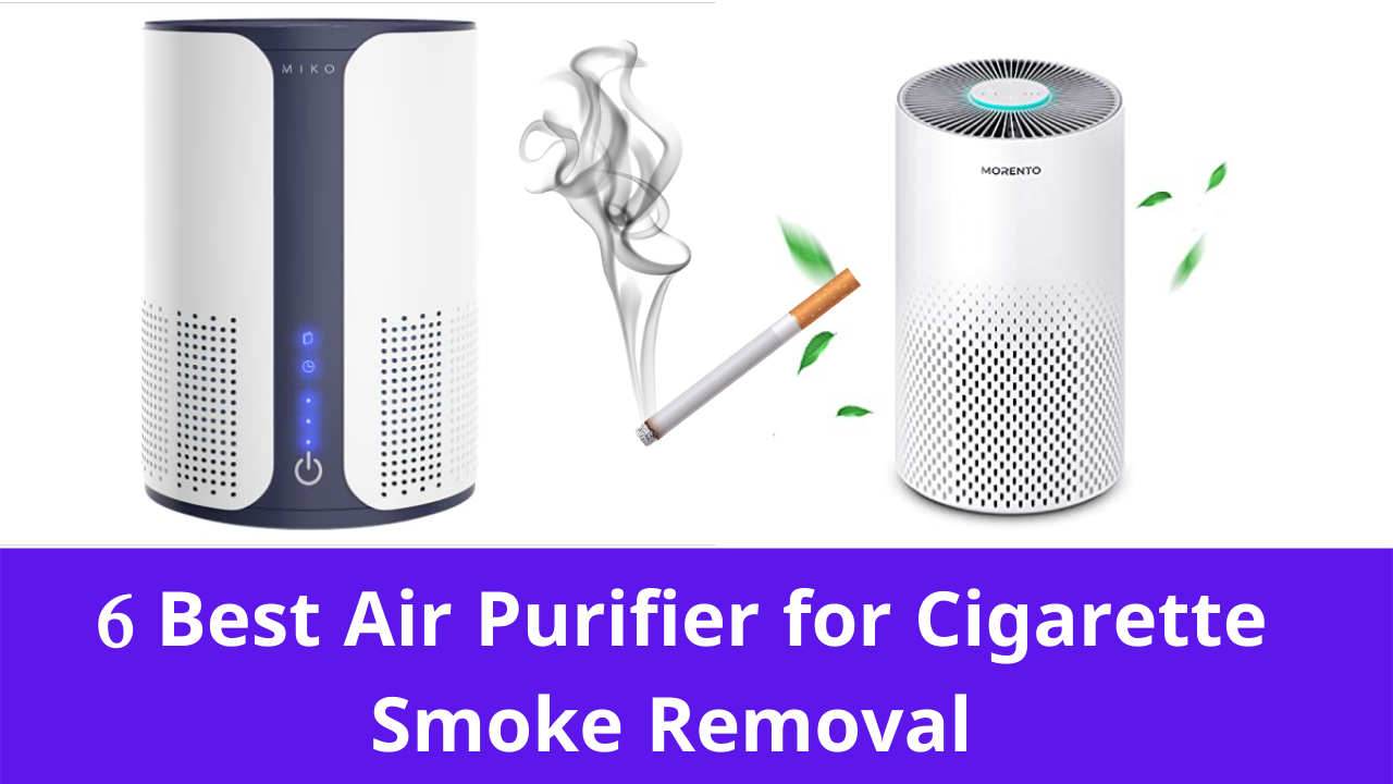 Best Air Purifier for Cigarette Smoke Removal