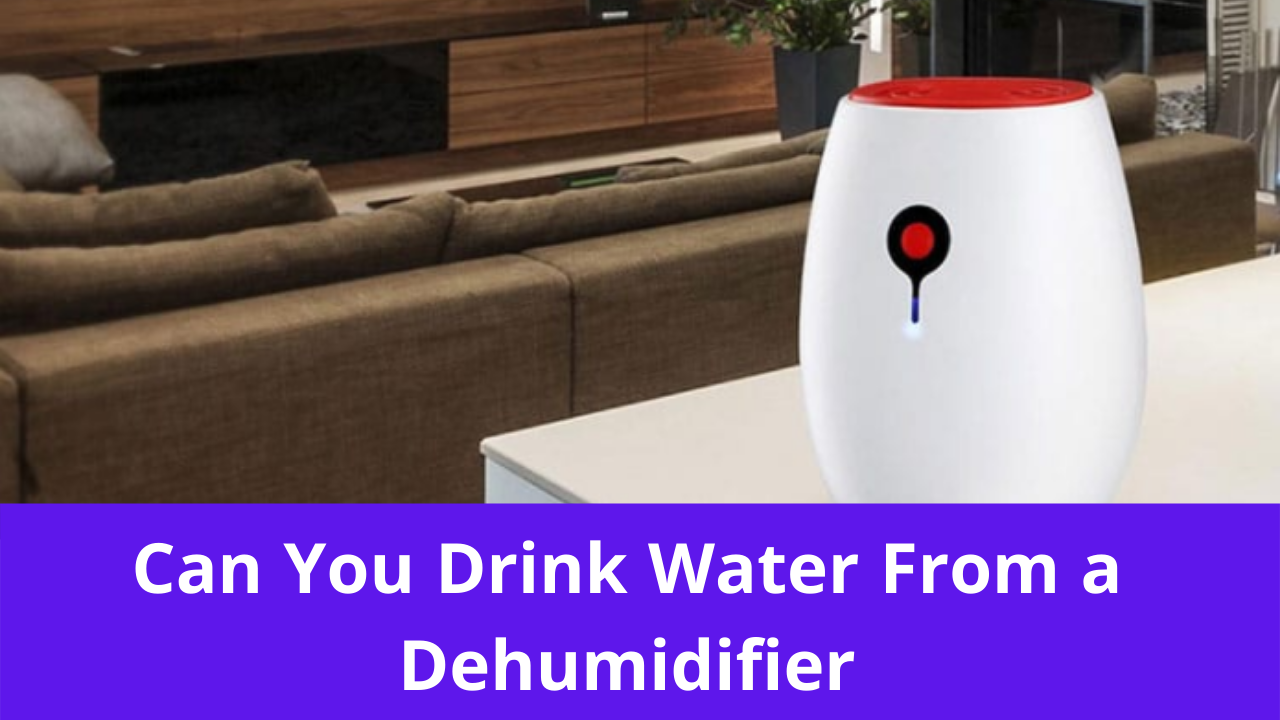 Can You Drink Water From a Dehumidifier