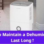 How to Maintain a Dehumidifier to Last Long 1