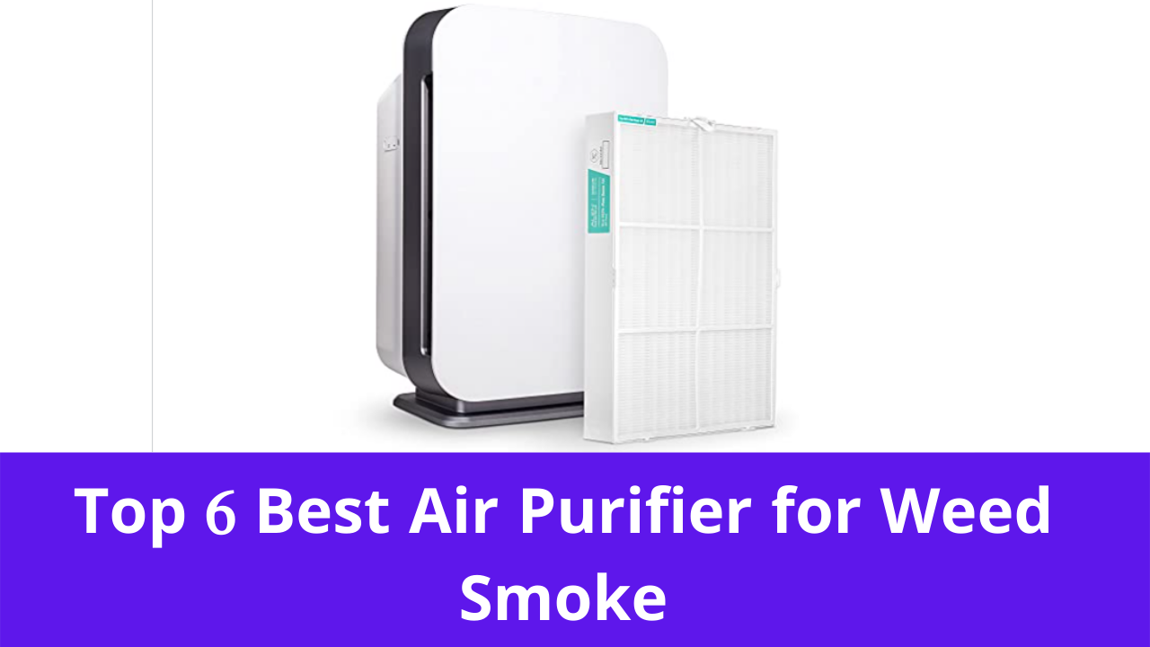 Top 6 Best Air Purifier for Weed Smoke