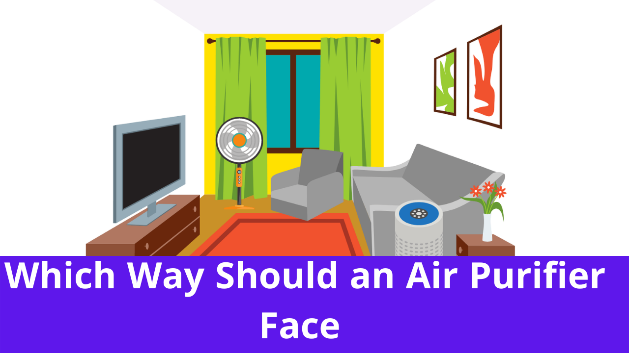 Which Way Should an Air Purifier Face 1