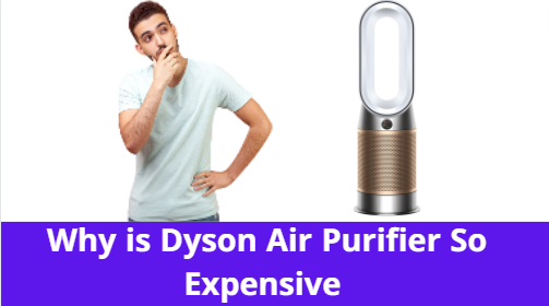 Why is Dyson Air Purifier So Expensive 2