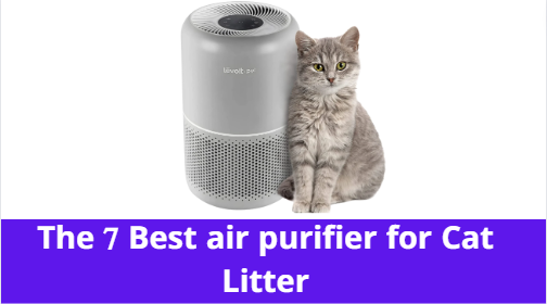 Best air purifier for cat litter