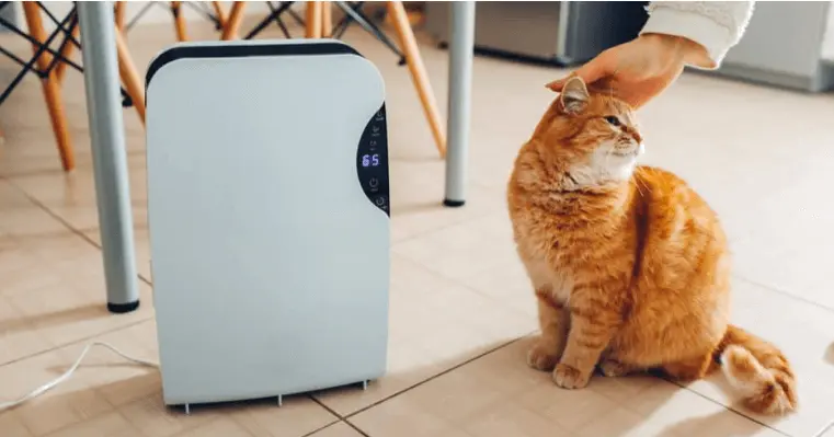 best air purifier for allergies and pets