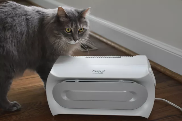 Best Air Purifier for Cat Urine Odor 1