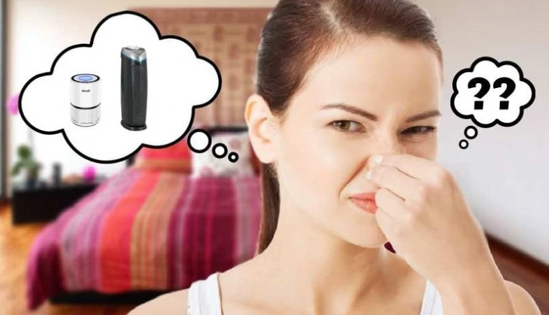 Do air purifiers help with smell 2
