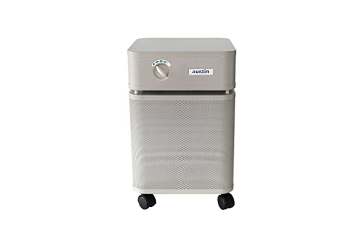 Which Austin air purifier is best for molds?