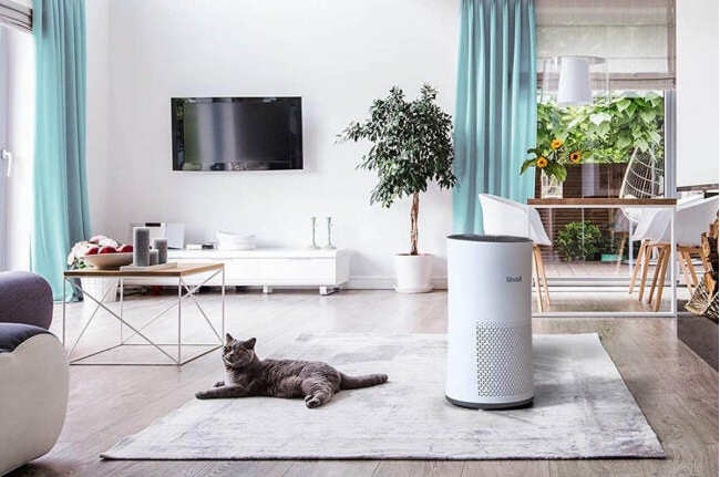 Do air purifiers work in large rooms