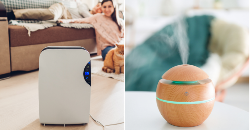 Which is better air humidifier or purifier?
